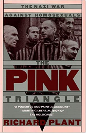 The Pink Triangle book cover